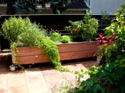 Terrassenbeet 80 x 160 cm, 34 cm Höhe Holzbeet für Terrasse